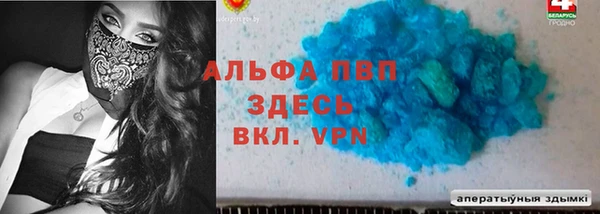 СК Алзамай