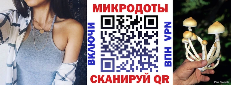 Псилоцибиновые грибы MAGIC MUSHROOMS  где можно купить наркотик  Евпатория 